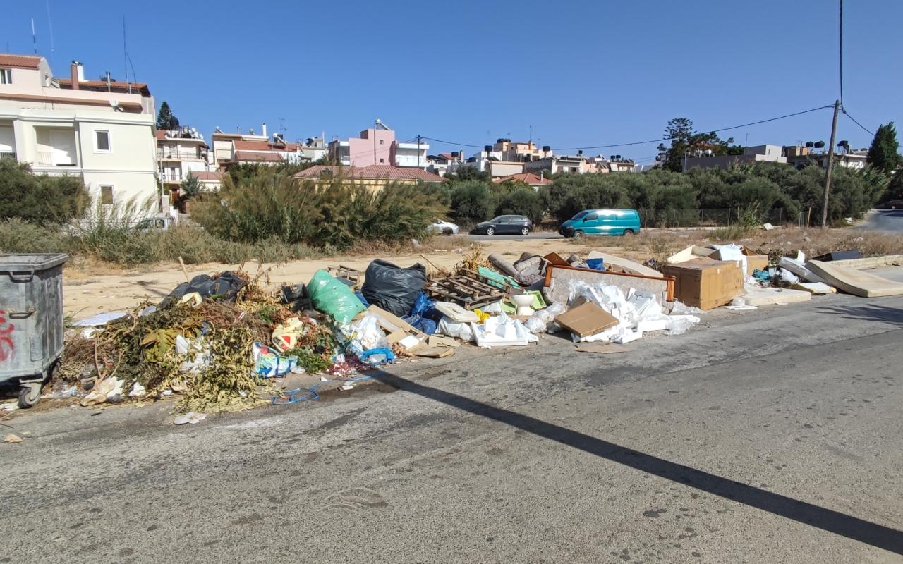 Ψηφοθηρία… επάγγελμα απαιτητικό και πλήρους απασχόλησης