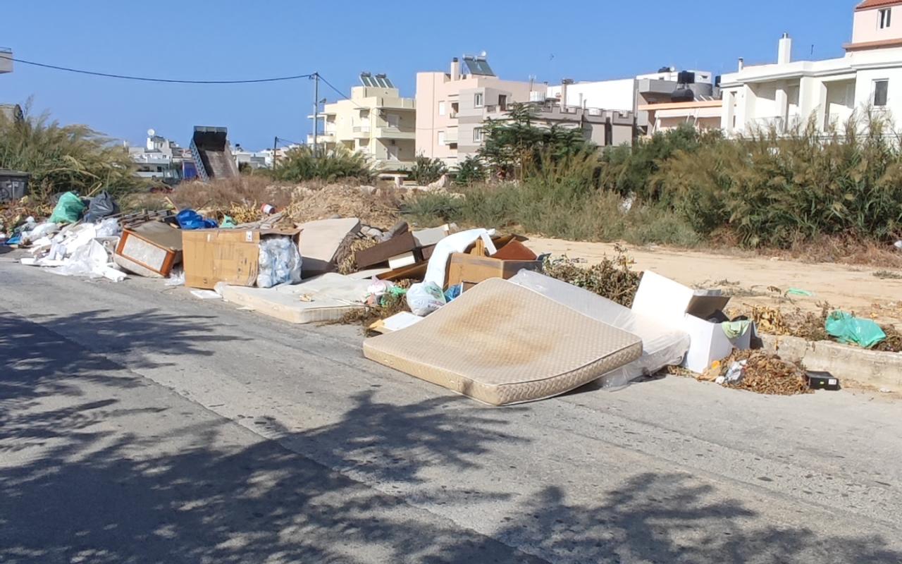 Ψηφοθηρία… επάγγελμα απαιτητικό και πλήρους απασχόλησης