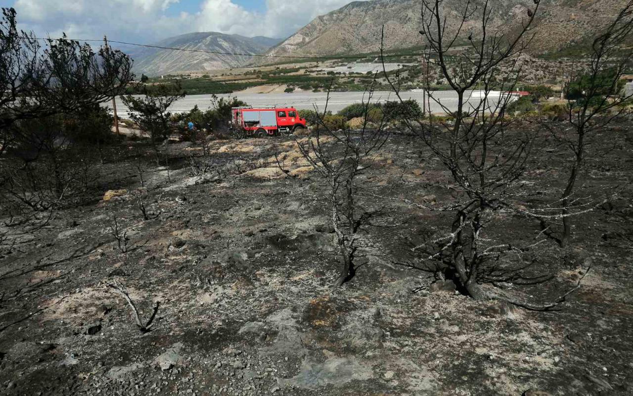 Κρήτη: Συναγερμός στην πυροσβεστική για φωτιά στο Ελαφονήσι