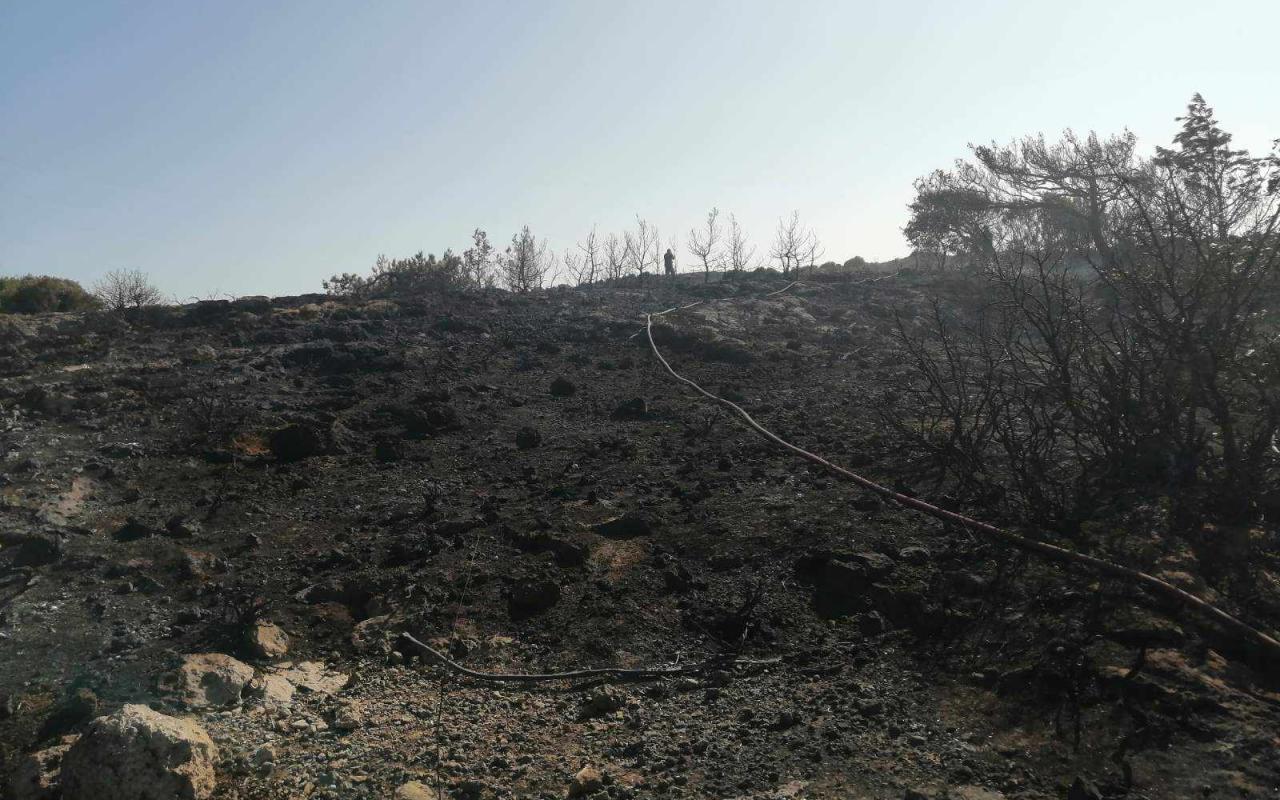 Κρήτη: Συναγερμός στην πυροσβεστική για φωτιά στο Ελαφονήσι