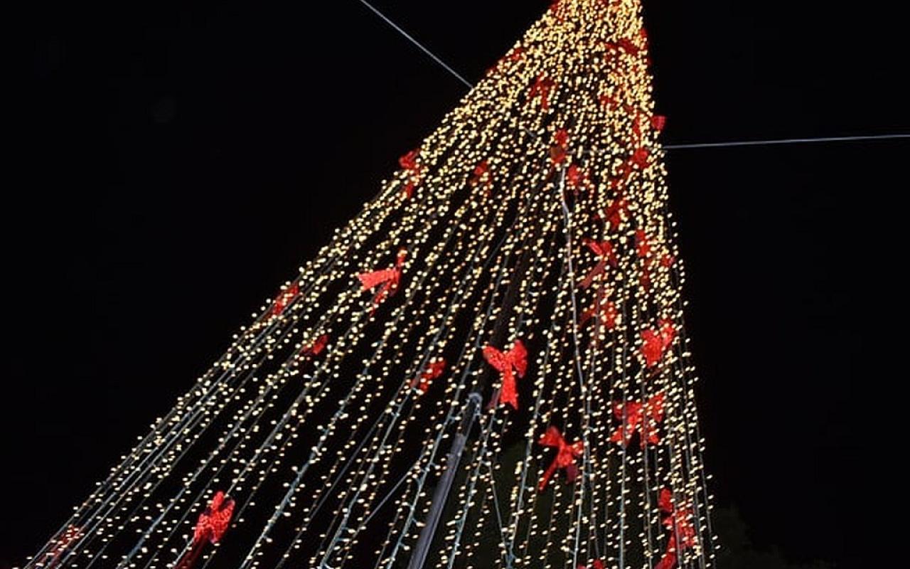 Γάζι - Χριστουγεννιάτικο δέντρο