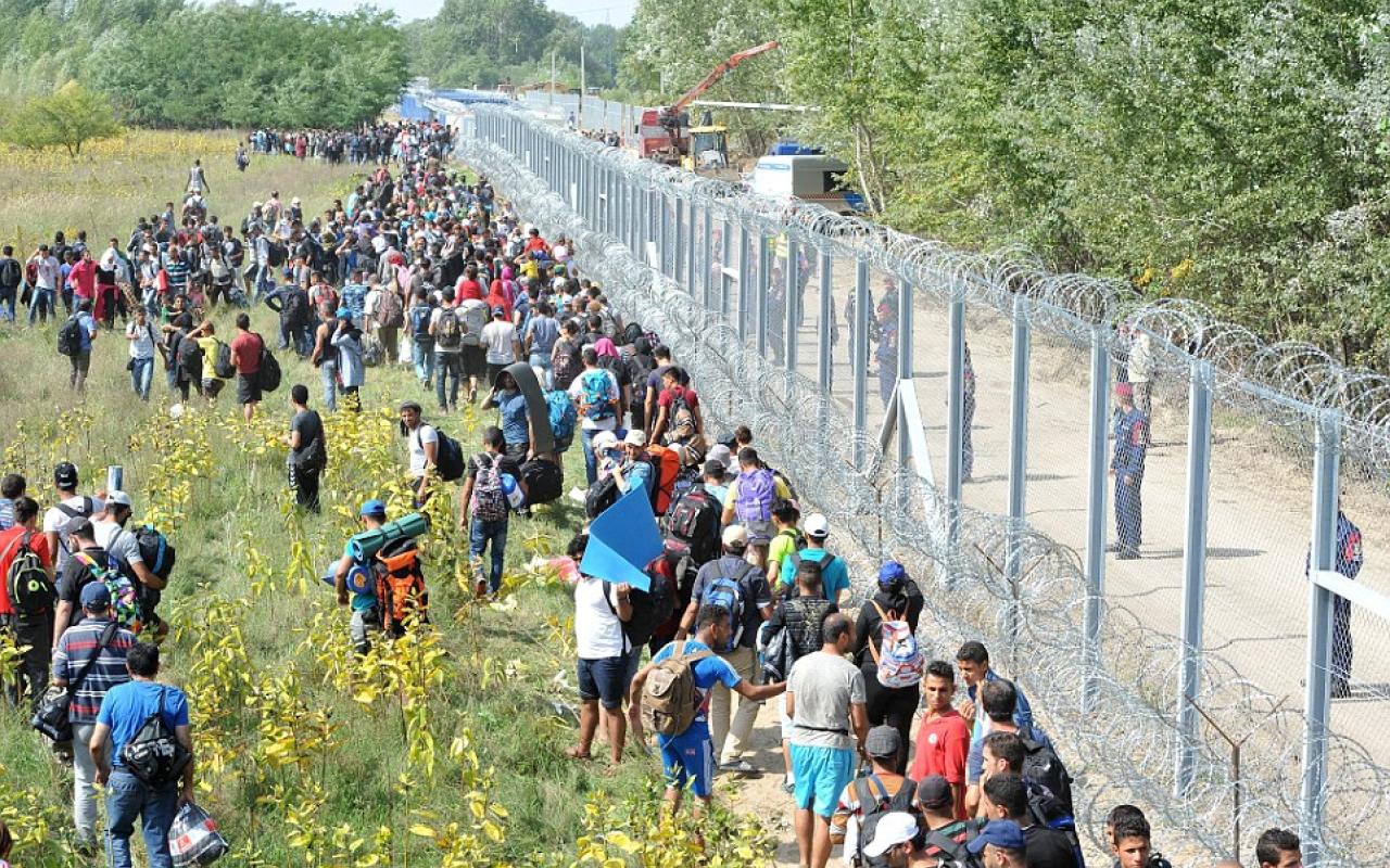 build_a_giant_fence.jpg