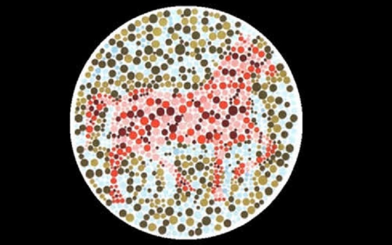Ποιο ζώο βλέπετε στην εικόνα;