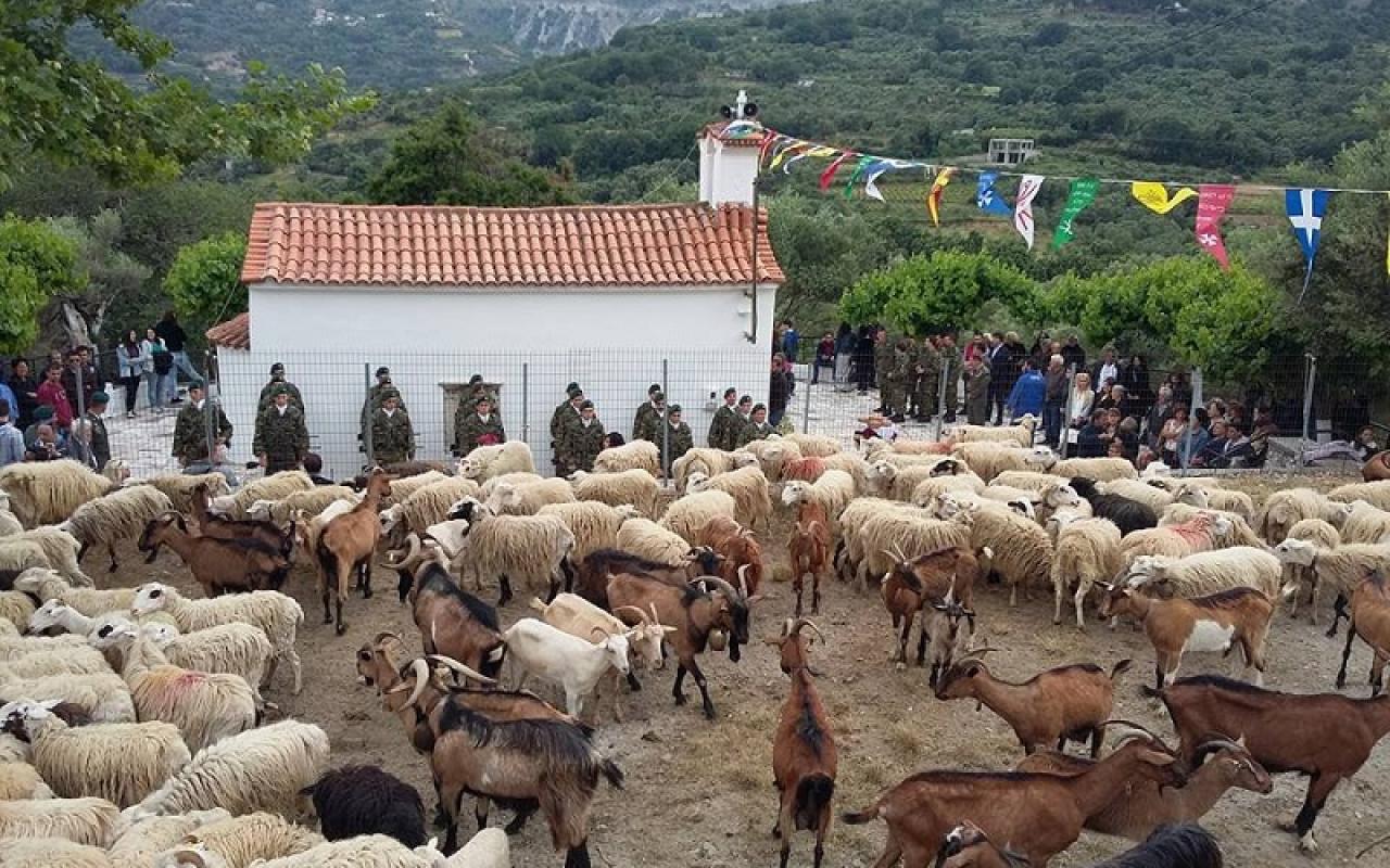 Το παλιό έθιμο με τα πρόβατα στην Ασή Γωνιά