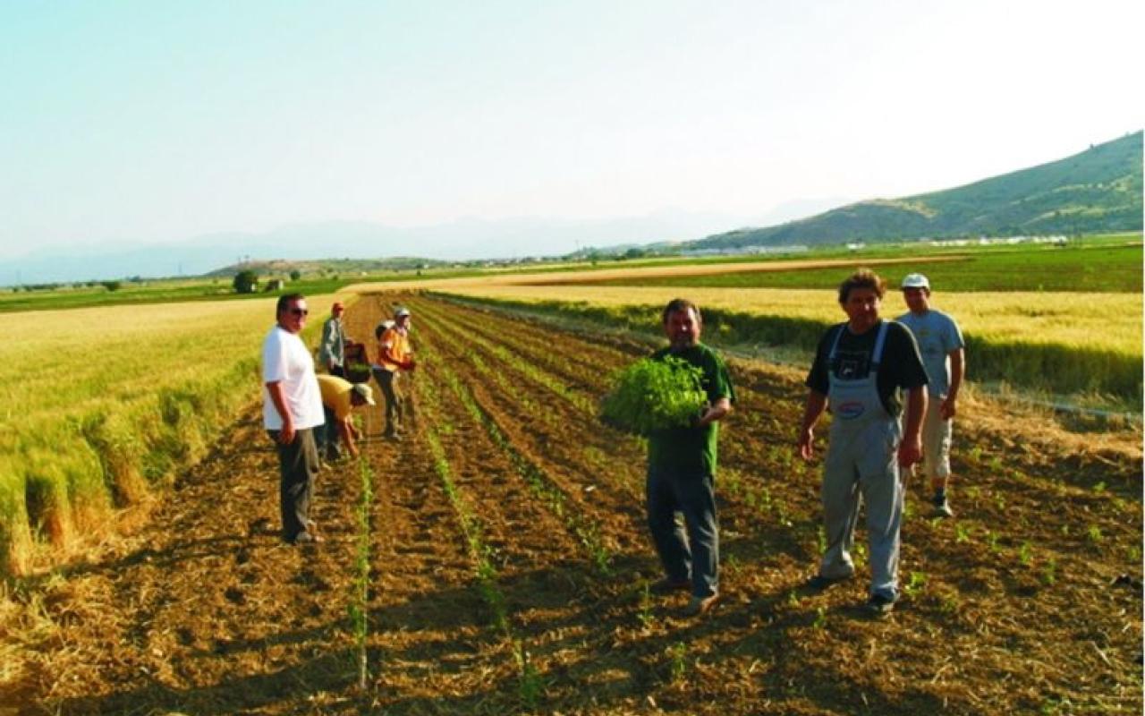 Και οι αγρότες της Ιεράπετρας στην απεργία της Πέμπτης