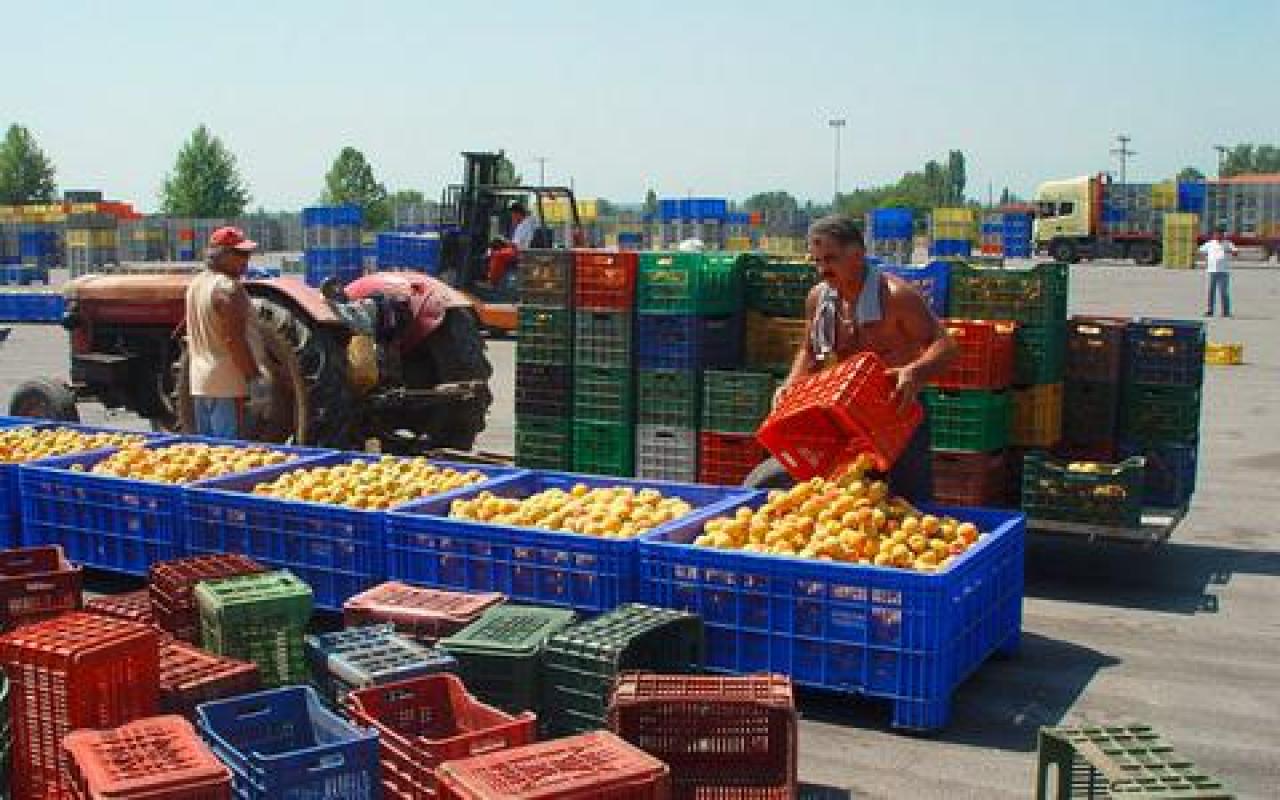 Τι λέει το υπ.Αγροτικής Ανάπτυξης για τις αποζημιώσεις από το ρωσικό εμπάργκο