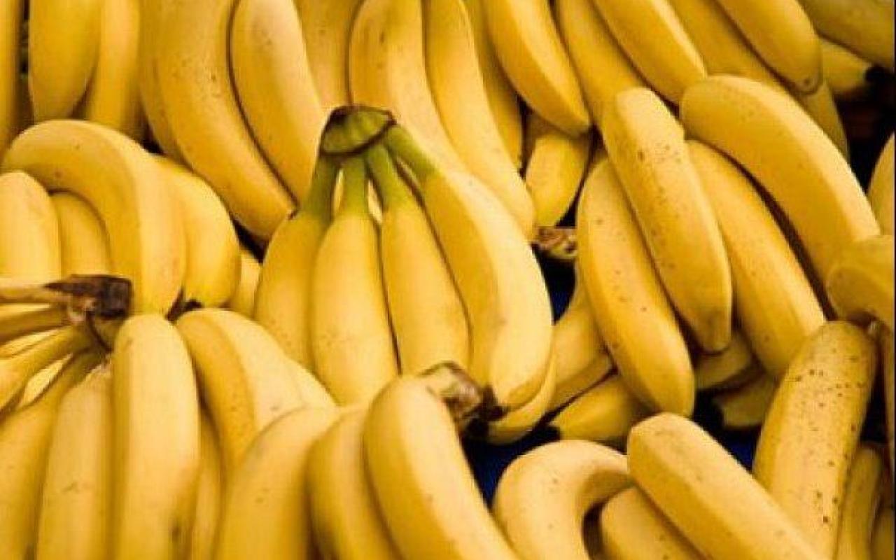 bananes2202-4_603_382_76.jpg