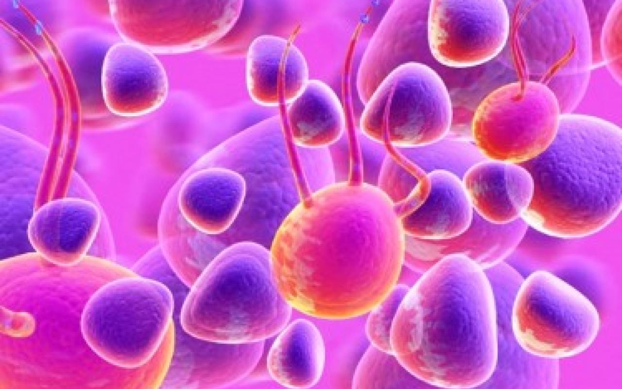 Επαναστατική εξέλιξη στη θεραπεία σοβαρών ασθενειών  με βλαστικά κύτταρα
