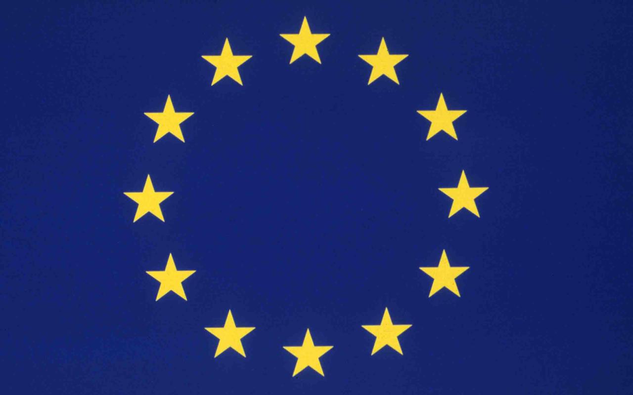 Ευρωπαϊκή Ένωση, ακροδεξιά  και ευρωεκλογές 2014