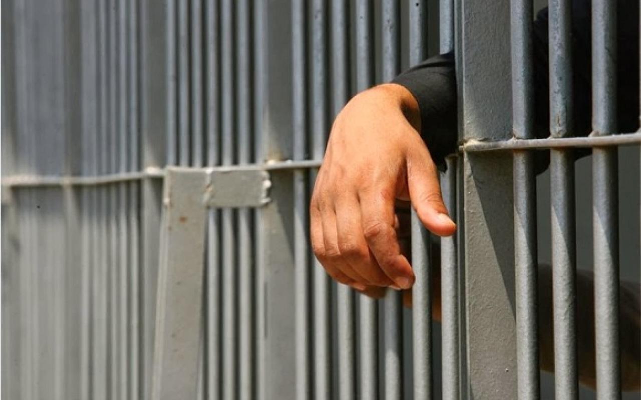 12 χρόνια κάθειρξη στον κτηνοτρόφο για τη χασισοφυτεία στις Μαλάδες