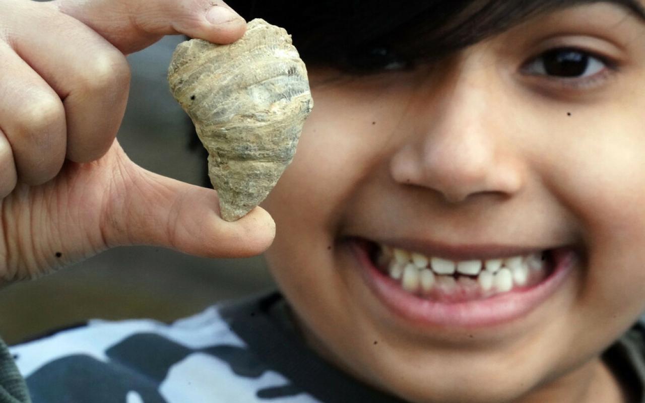 Εξάχρονος ανακάλυψε απολίθωμα σχεδόν 500 εκατ. ετών στον κήπο του
