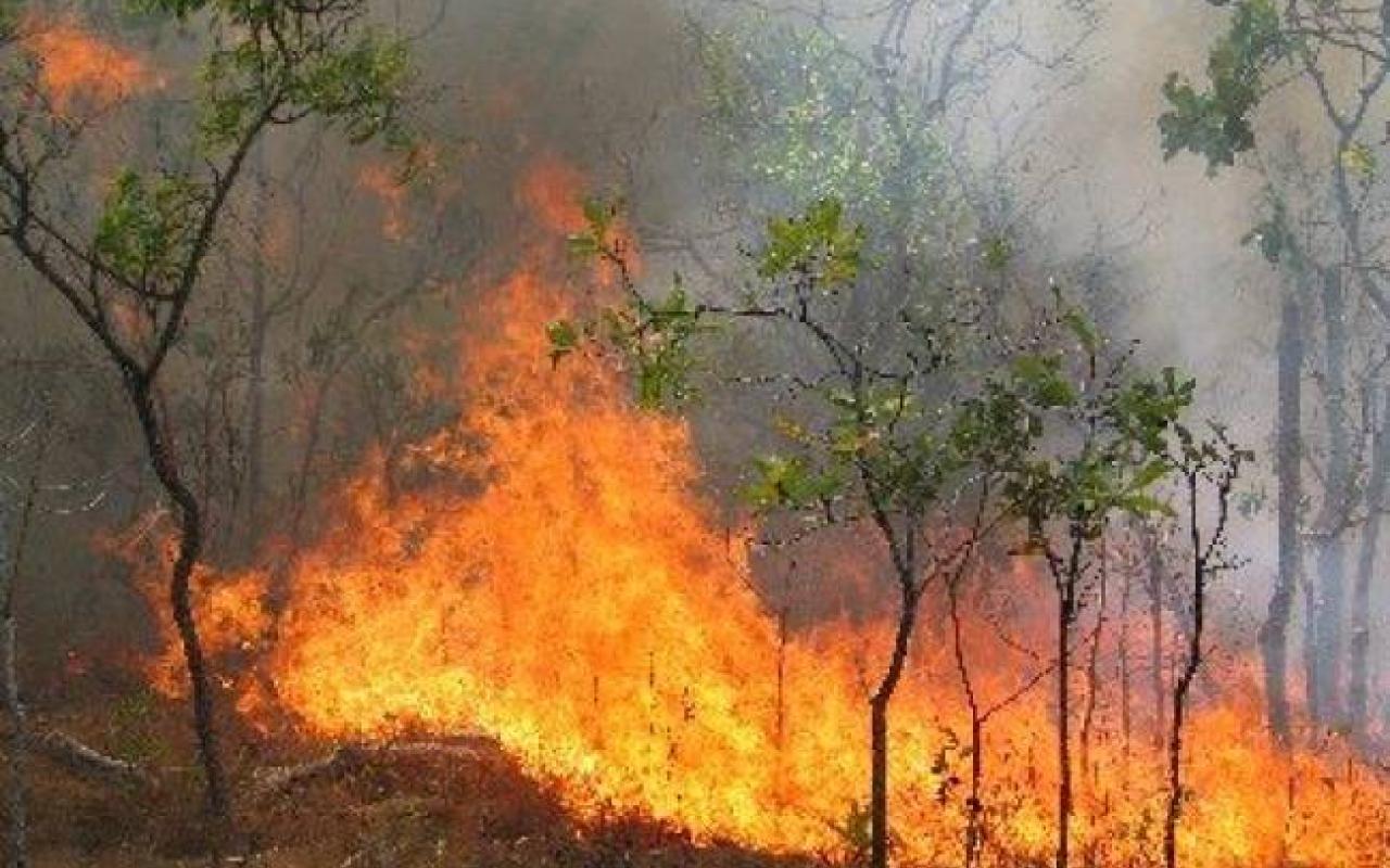 Συναγερμός για πυρκαγιά κοντά σε ταβέρνα στη Ζούρβα Χανίων