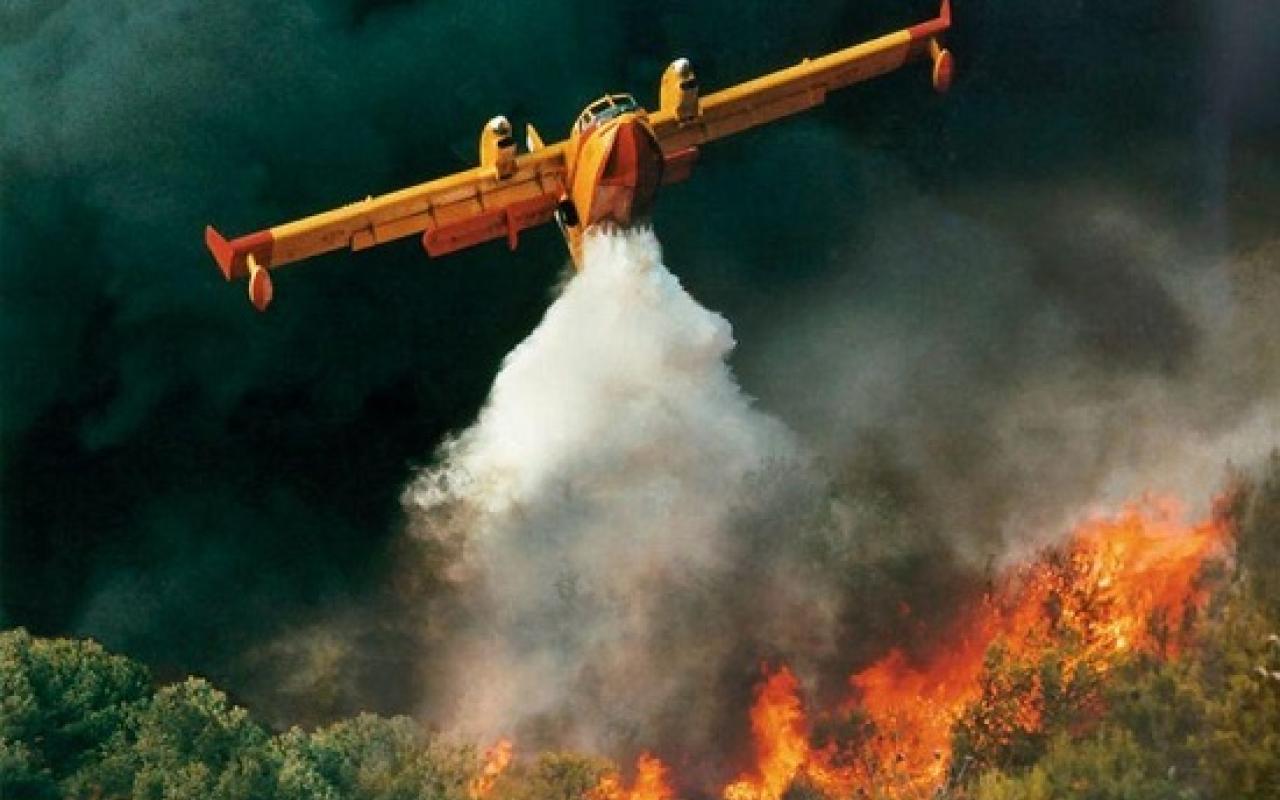 Μάχη με τη φωτιά και τους ανέμους δίνουν οι πυροσβέστες στη Μαλεσίνα
