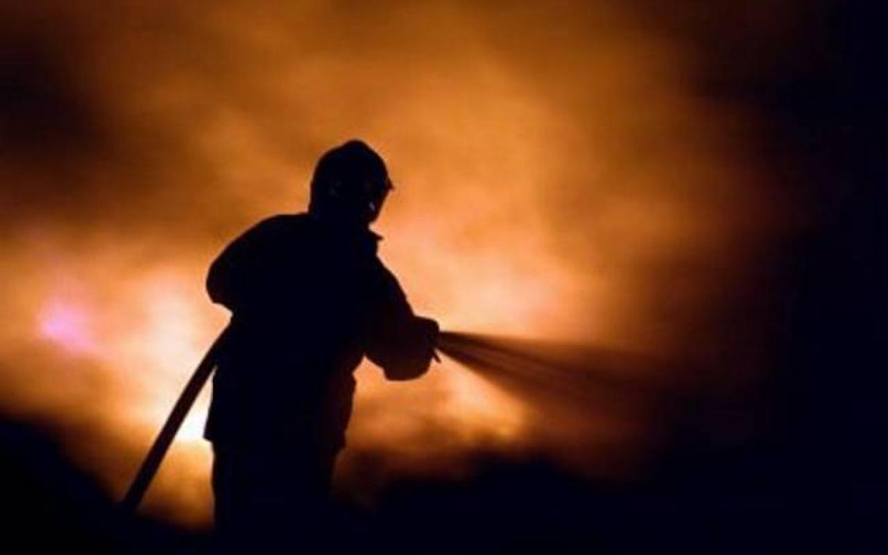 Σε εξέλιξη πυρκαγιά στην περιοχή της Ρογδιάς - Επί ποδός η πυροσβεστική