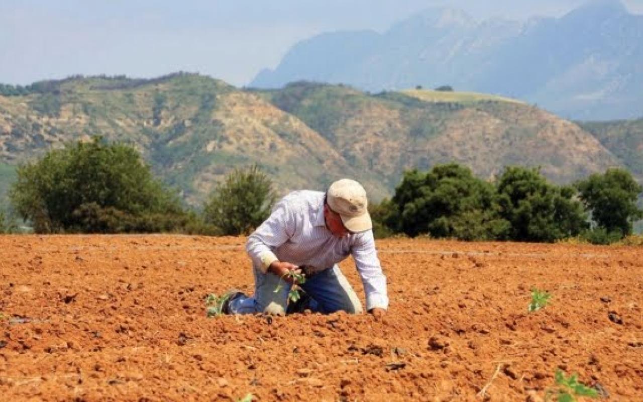 Ολοκληρώθηκε η καταβολή της Α&#039; δόσης στους νέους γεωργούς της Κρήτης