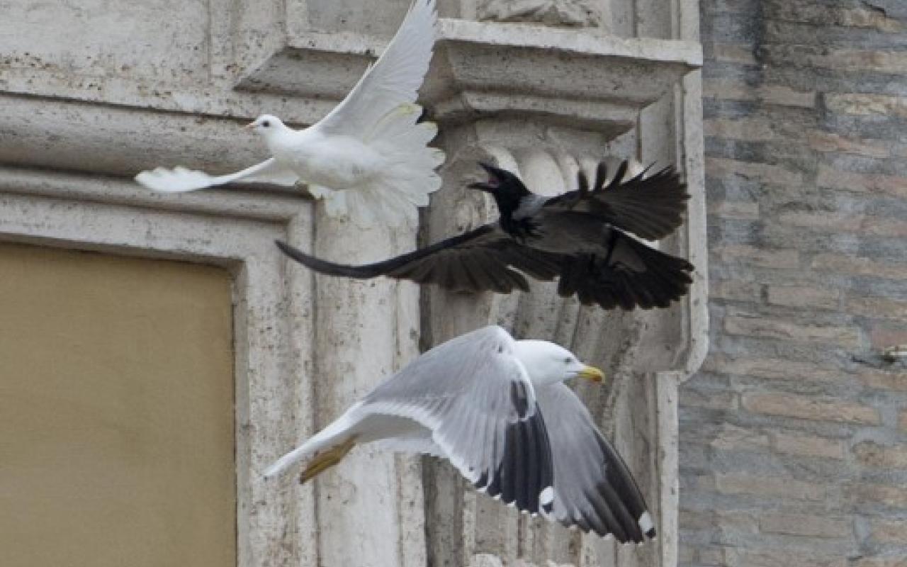Κοράκι και γλάρος επιτέθηκαν στα περιστέρια που απελευθέρωσε ο Πάπας 