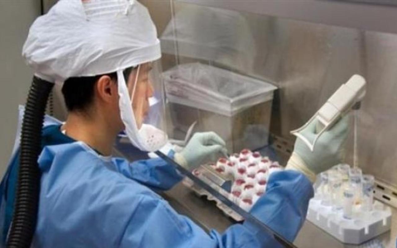 Κίνα: Νέο θανατηφόρο στέλεχος της γρίπης των πτηνών