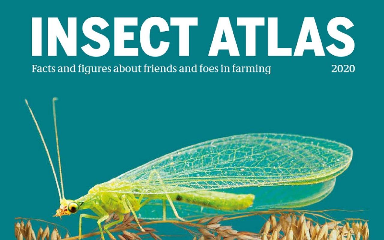 insect atlas