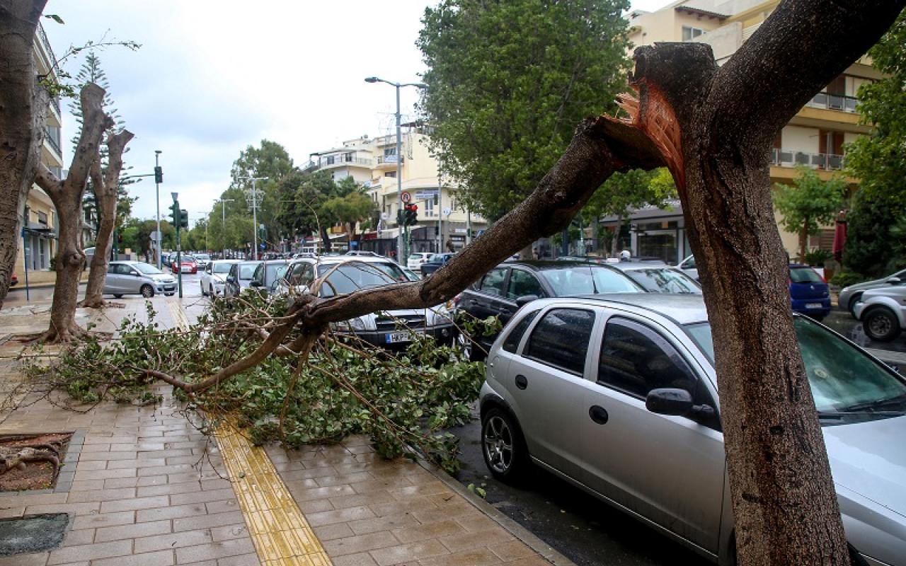 Έσπασε κλαδί δέντρου και έπεσε στο οδόστρωμα στη λ. Δημοκρατίας