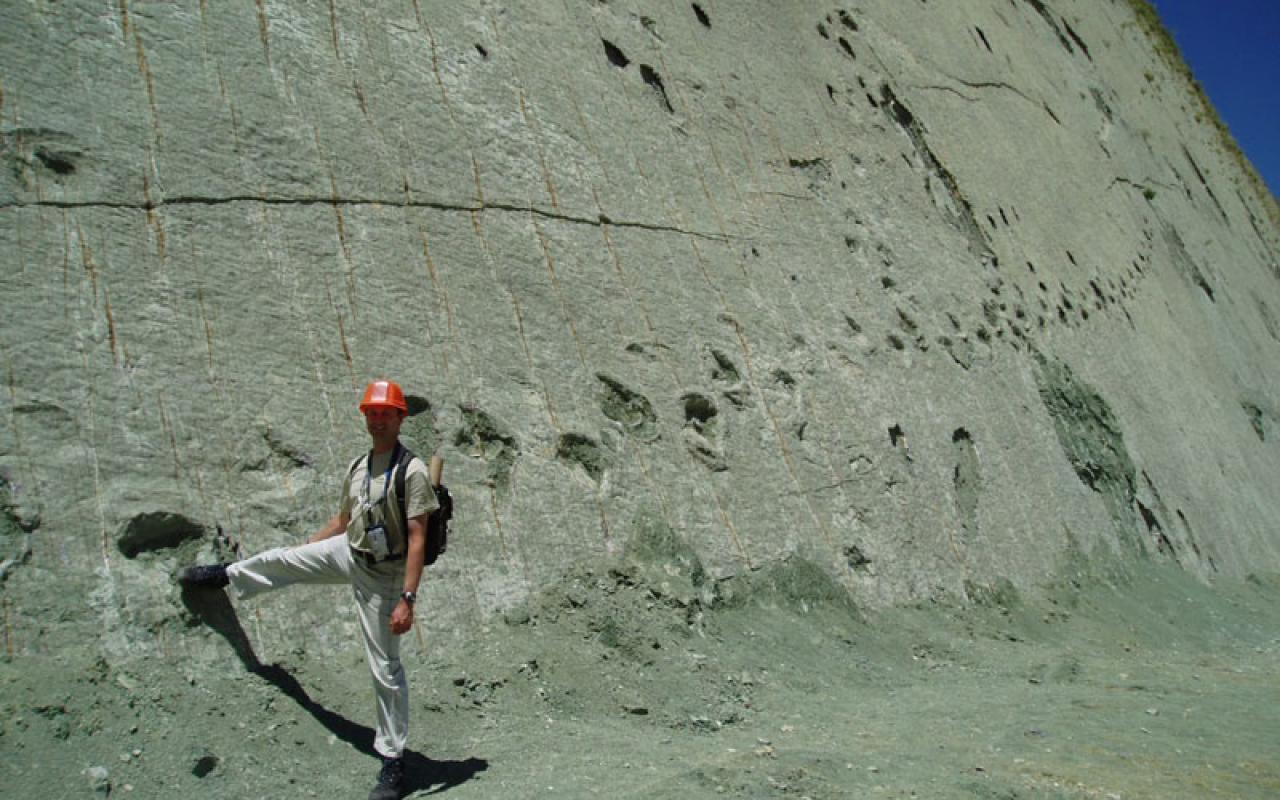Πάνω από 5000 πατημασιές δεινοσαύρων σε βράχο ύψους 100 μέτρων.