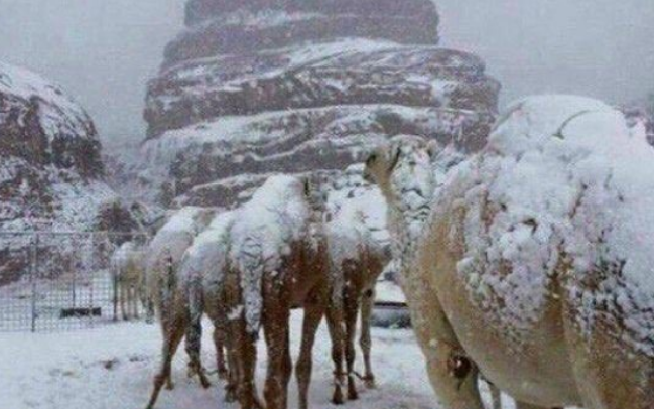 χιόνι σαουδική αραβία
