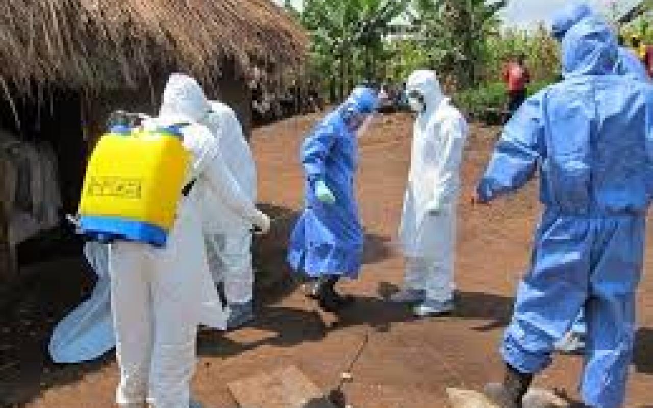 Πάνω από 20.000 τα κρούσματα του ιού Έμπολα σε όλο τον κόσμο