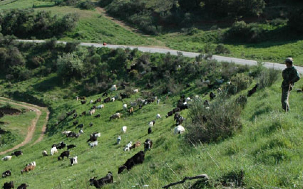 Τα προβλήματα τους εξέφρασαν στον υπουργό οι κτηνοτρόφοι της Κρήτης