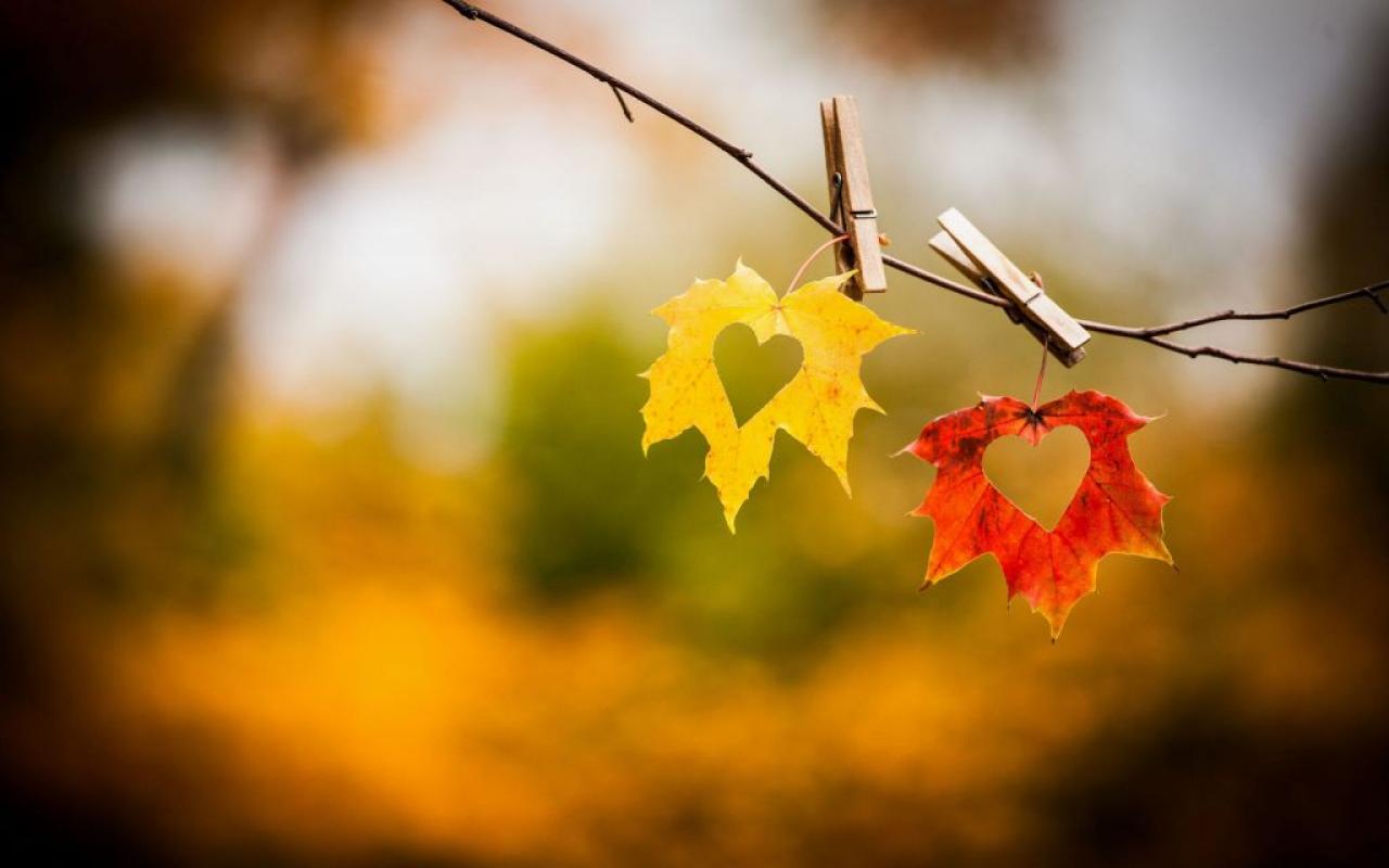 φθινόπωρο φύλλα έρωτας