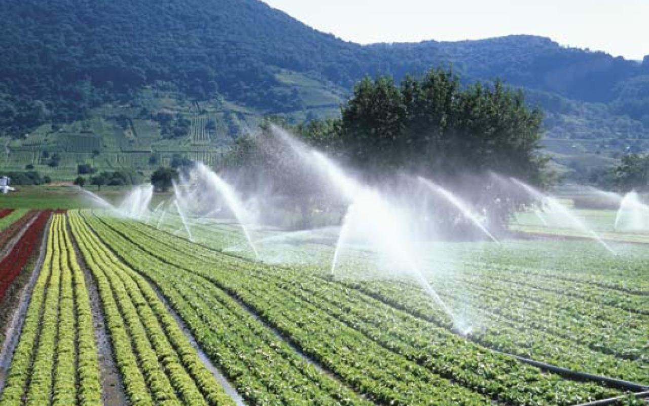 Νέα τεχνολογία στη γεωργία, εξοικονομεί έως και 40% στην κατανάλωση νερού