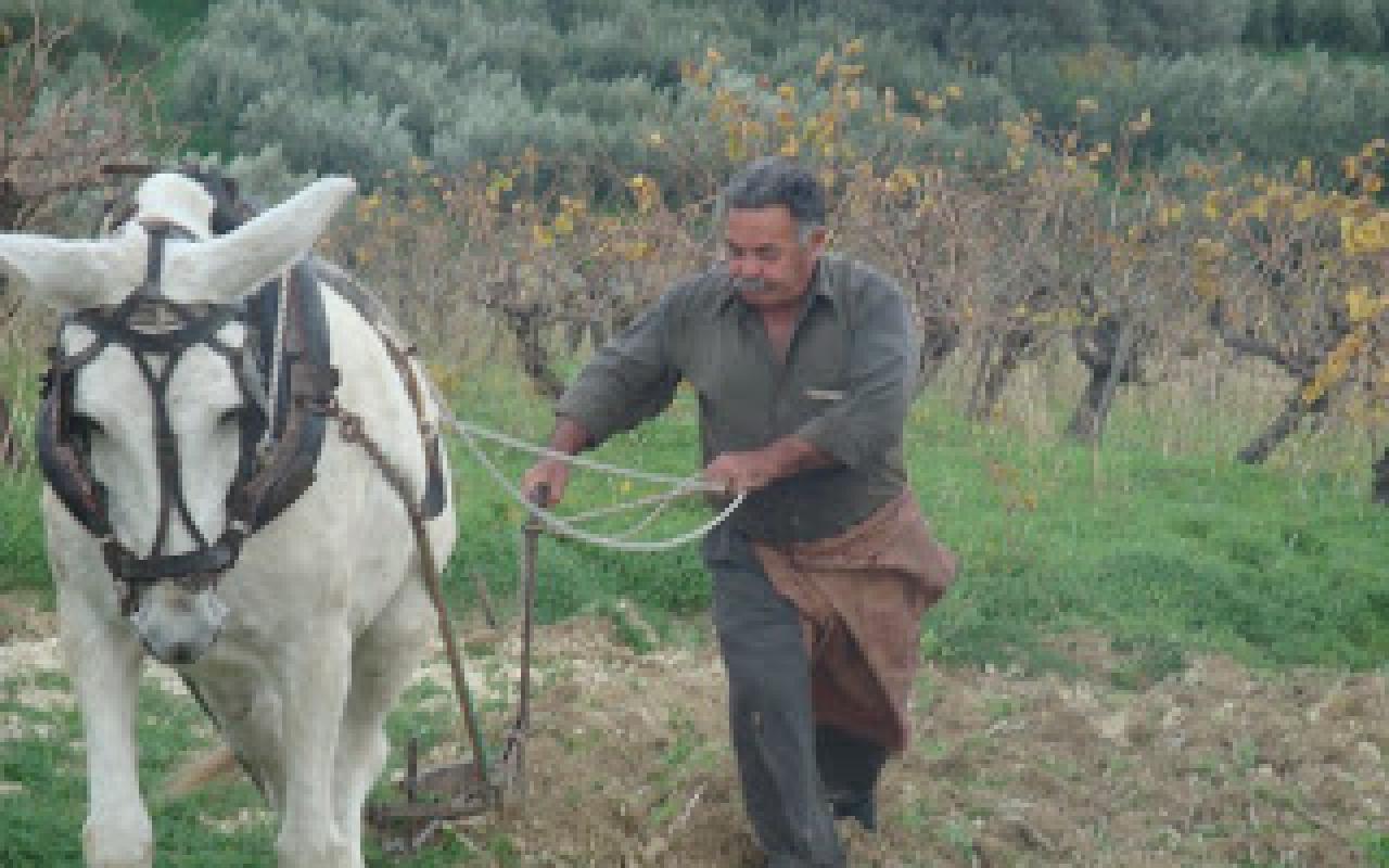  Όργωμα και Σπορά