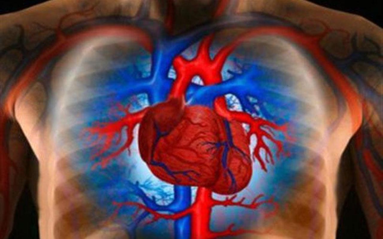 Ανακαλυψη: Νέα μέθοδος αναπλάθει τα κύτταρα της καρδιάς