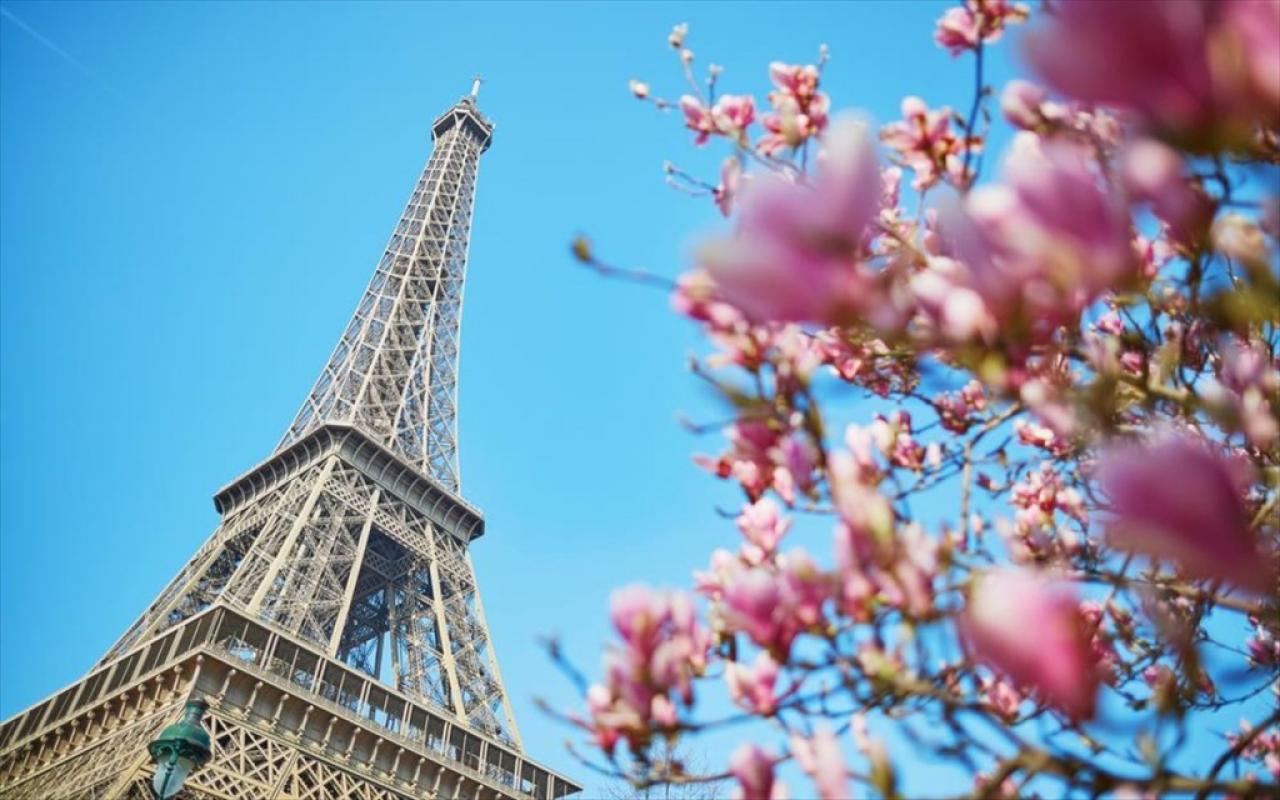 Οι ανθισμένες μανόλιες στο Παρίσι είναι σήμα κατατεθέν της Άνοιξης και της γιορτής του Πάσχα.