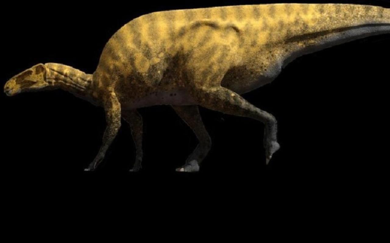 ψαλιδοχέρης δεινοσαύρων