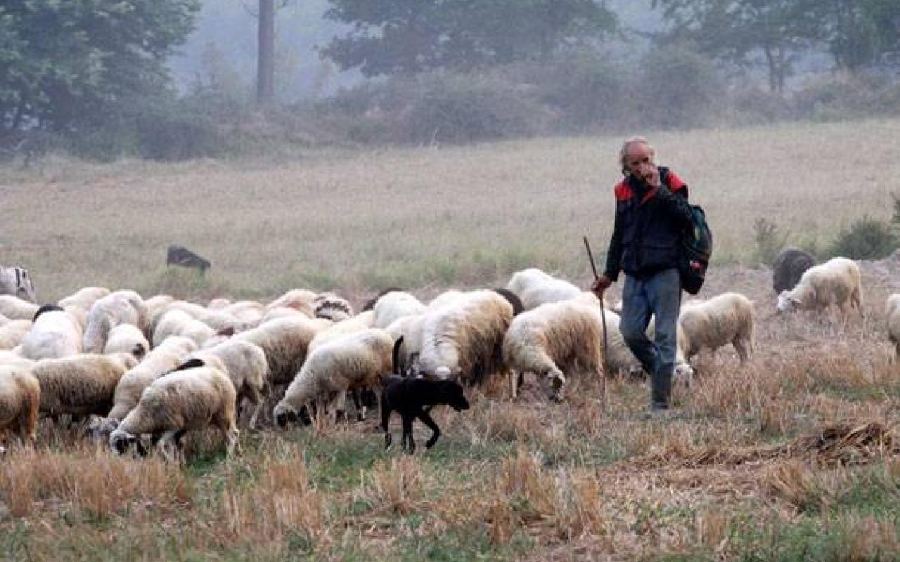 Στα 51 εκατομμύρια στρέμματα οι βοσκότοποι που μπαίνουν στη νέα ΚΑΠ