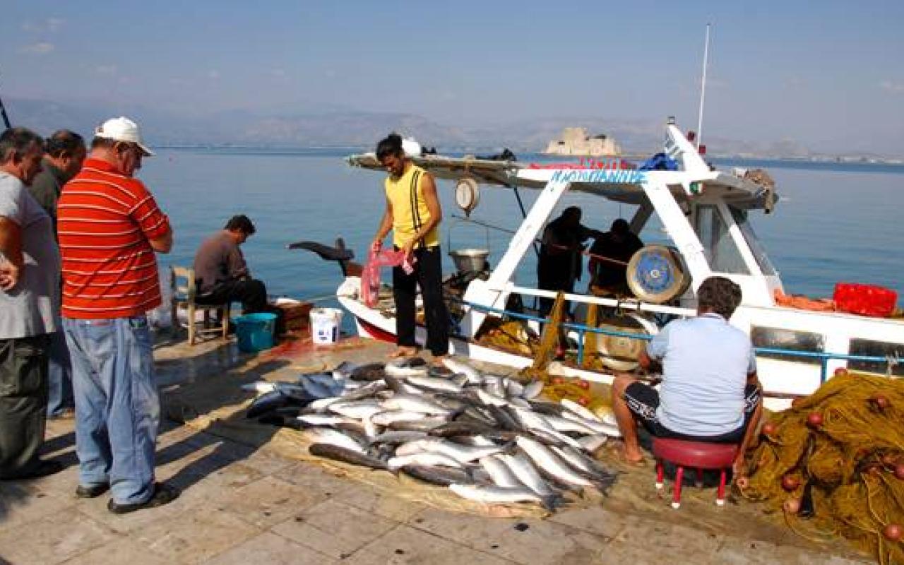 Μ. Δαμανάκη: Ευνοημένοι απο τη νέα αλιευτική πολιτική οι μικροί ψαράδες 