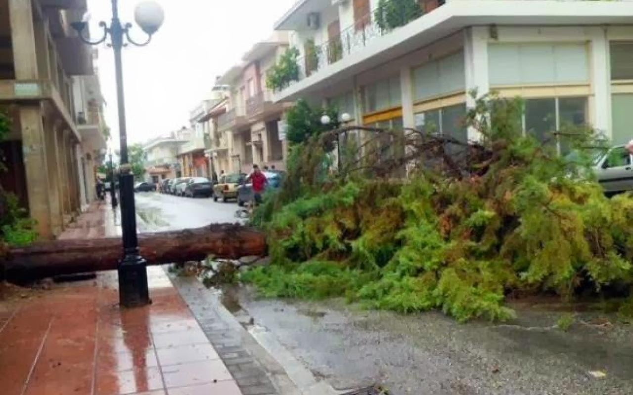 Τροχαίο ατύχημα με απεγκλωβισμό και πτώσεις δέντρων λόγω καιρού σε Ηράκλειο και Λασίθι