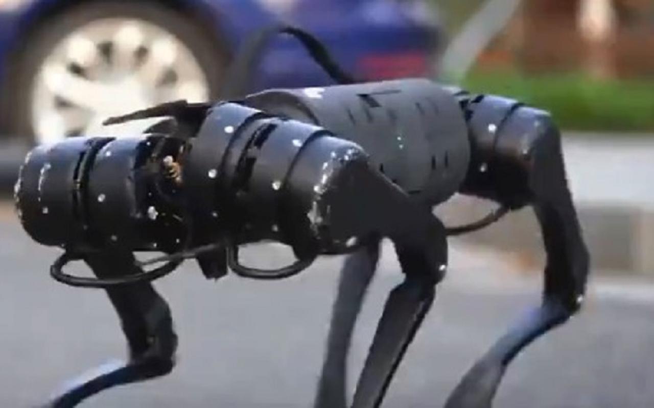 ο πρώτος σκύλος ρομπότ