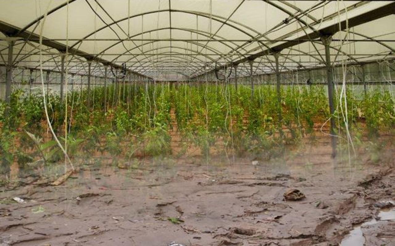 Μπάζα και λάσπες μέσα στα θερμοκήπια της Μεσαράς - Απογοητευμένοι οι αγρότες