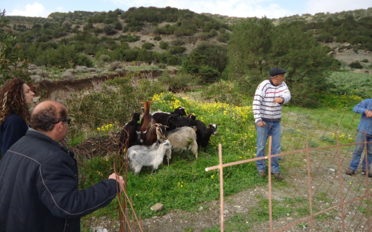 Βιάννος: Έβαλαν φράχτες για να προστατέψουν τις καλλιέργειες από τα ζώα (φωτο)