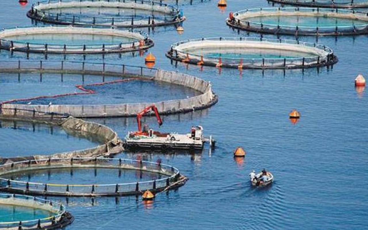 Σημαντική αύξηση κονδυλίων για αλιεία και υδατοκαλλιέργειες