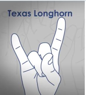 texas longhorn