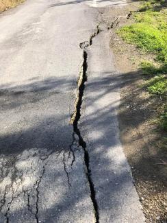 δρομος - ψαρη φοράδα