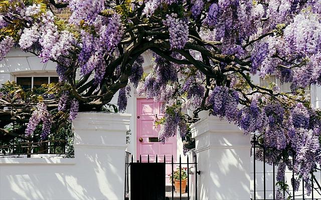 Notting Hill, Λονδίνο