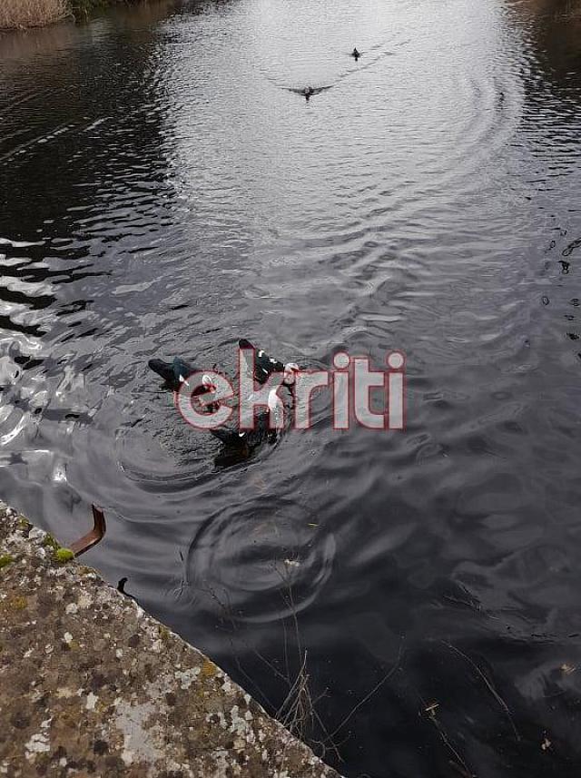 γράγμα Ινίου