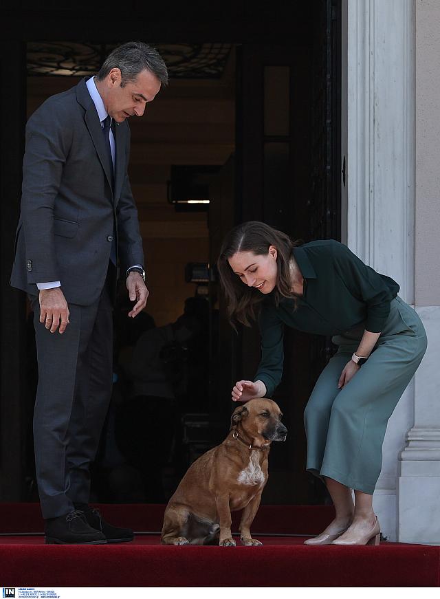 ΠΙΝΑΤ