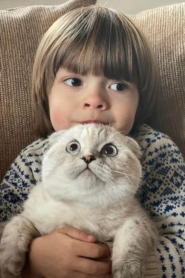 Sasa