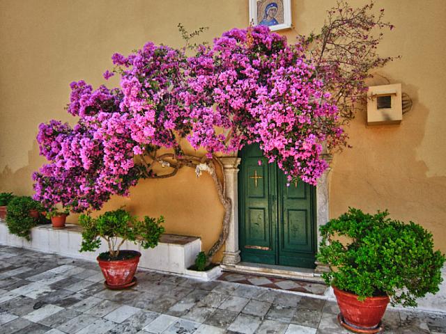 απόδοση πασχα