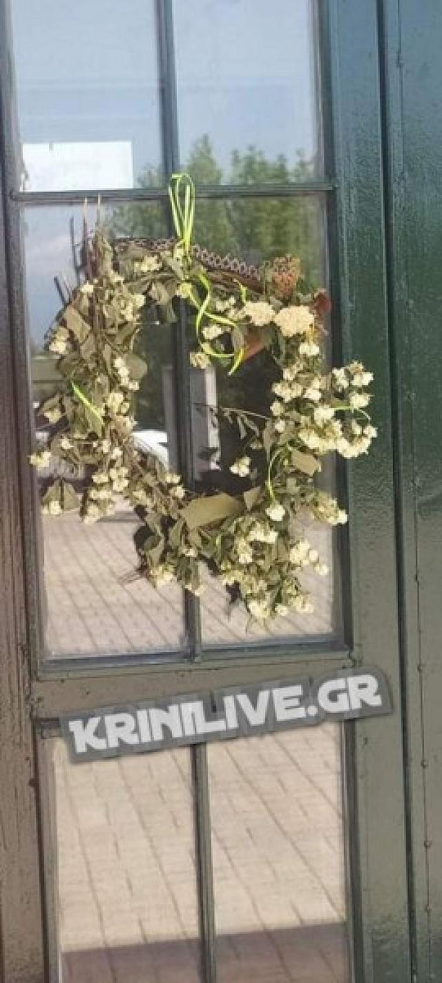 φιδι