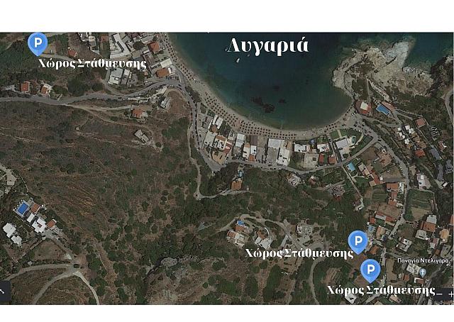 λυγαρια