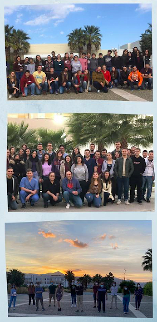 neuroteam